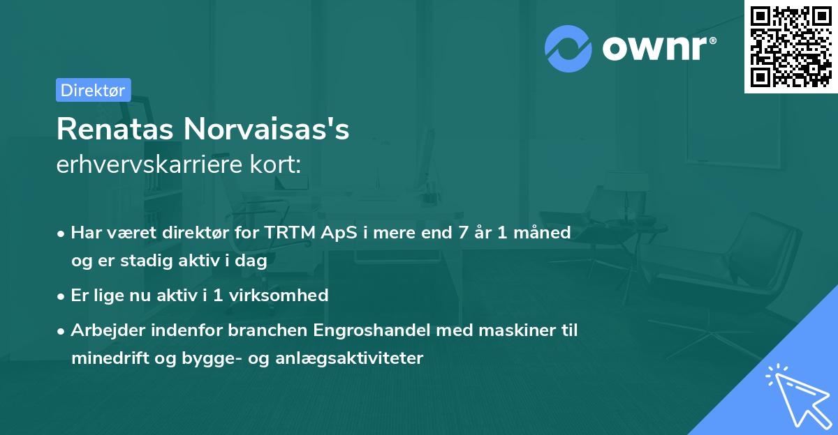 Renatas Norvaisas's erhvervskarriere kort