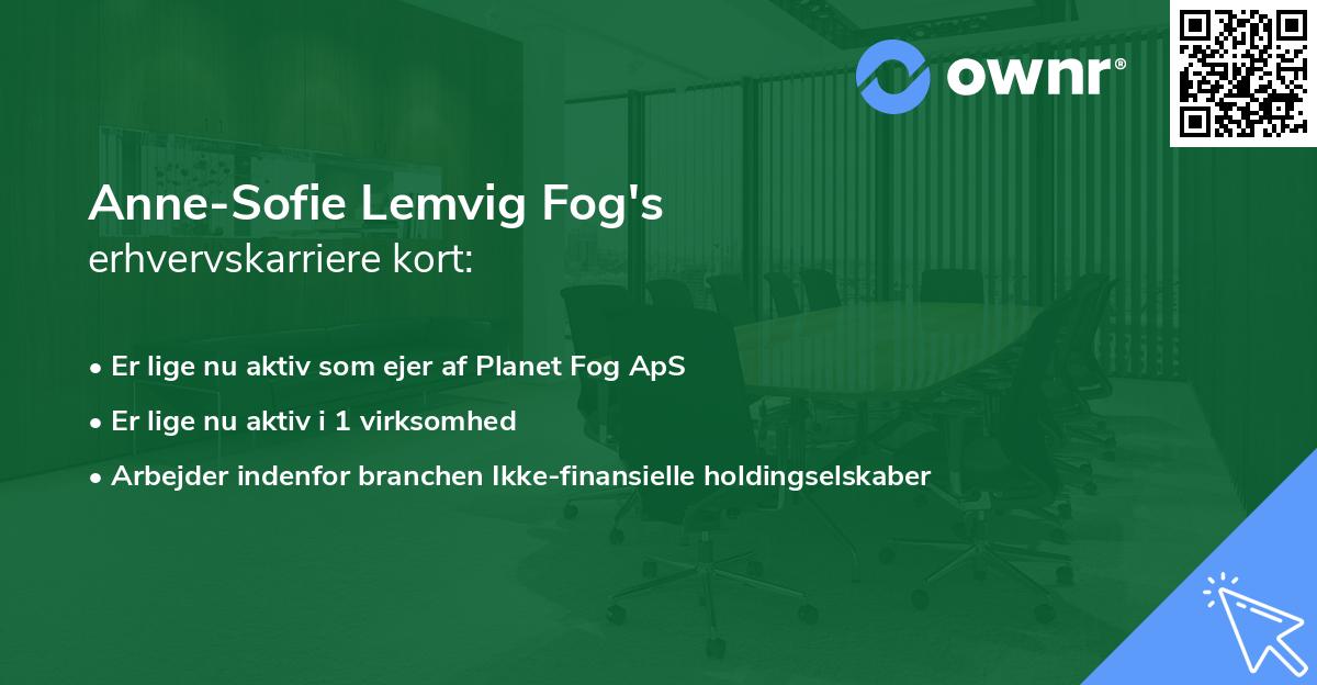 Anne-Sofie Lemvig Fog's erhvervskarriere kort
