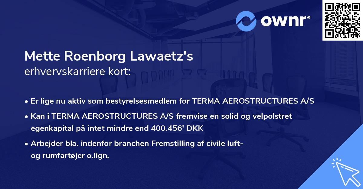 Mette Roenborg Lawaetz's erhvervskarriere kort