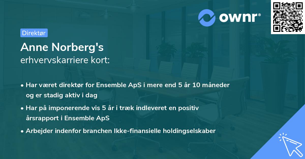 Anne Norberg's erhvervskarriere kort