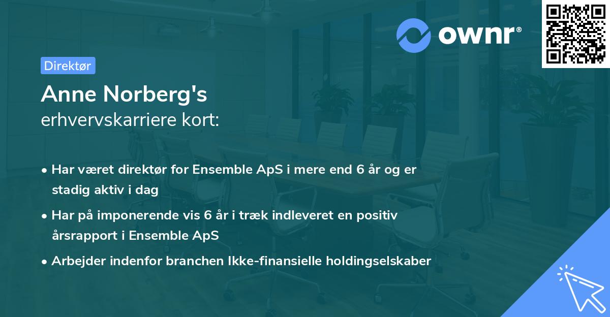 Anne Norberg's erhvervskarriere kort