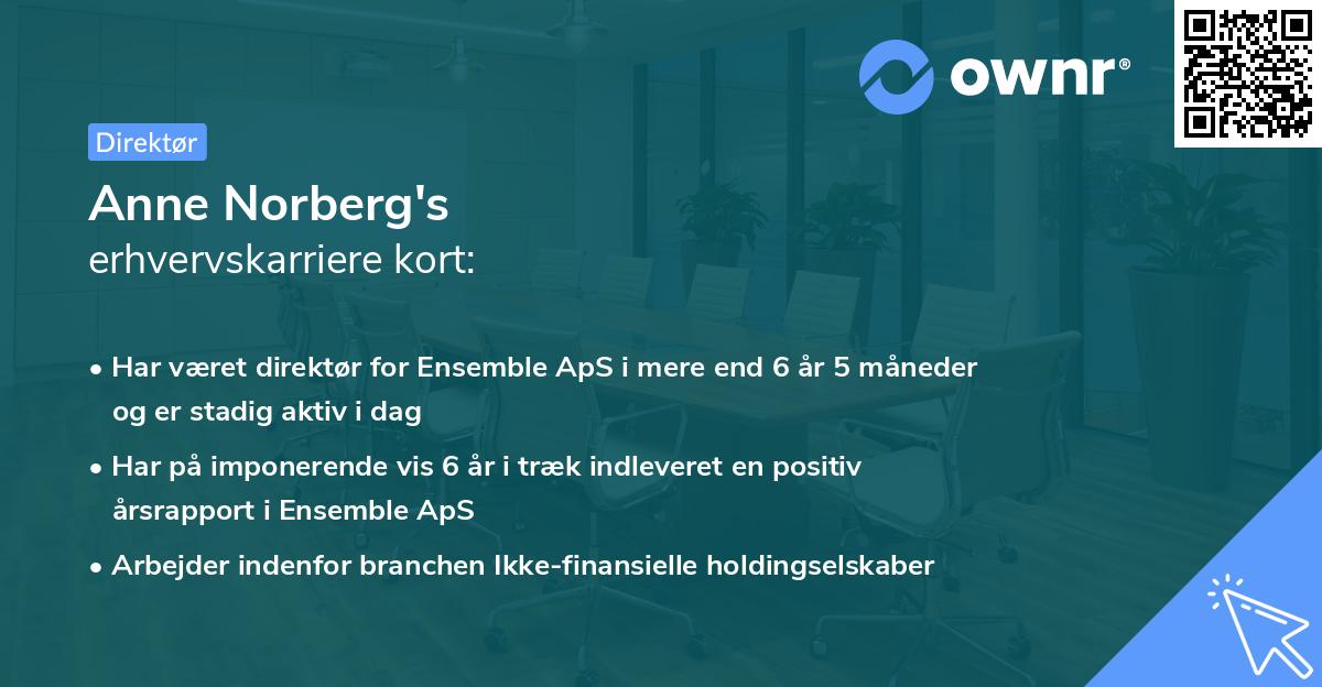 Anne Norberg's erhvervskarriere kort