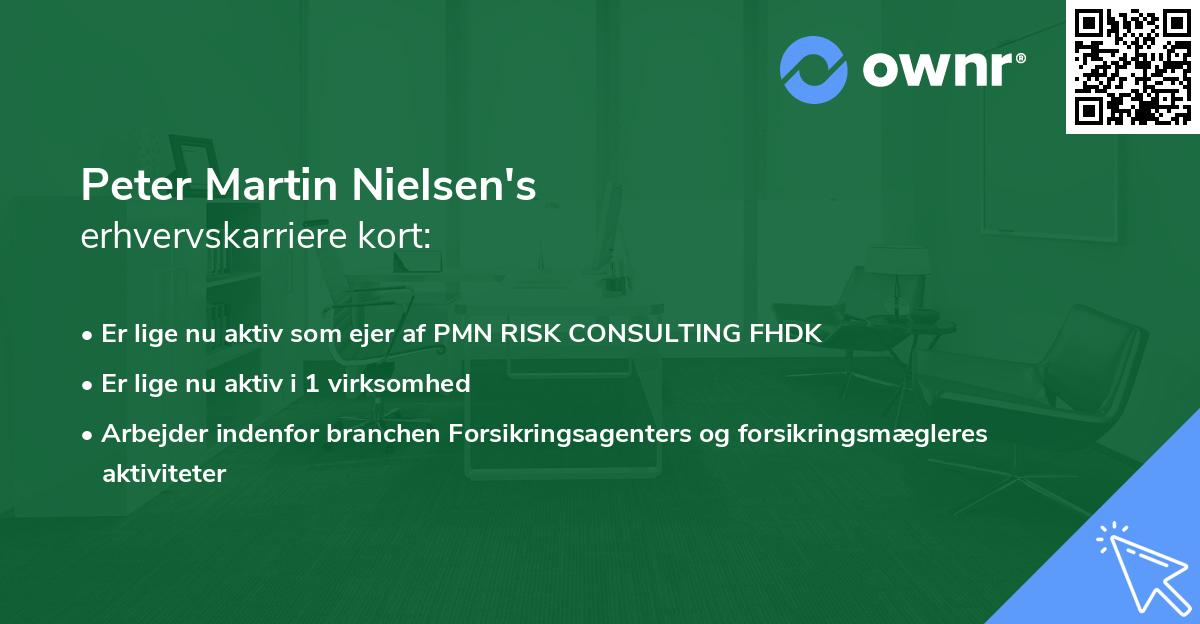 Peter Martin Nielsen's erhvervskarriere kort
