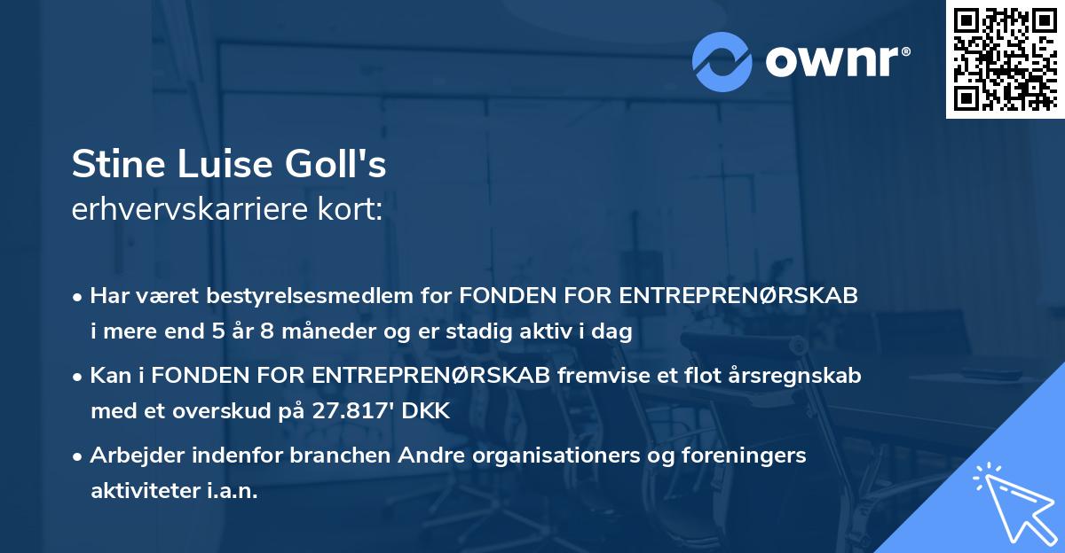 Stine Luise Goll's erhvervskarriere kort