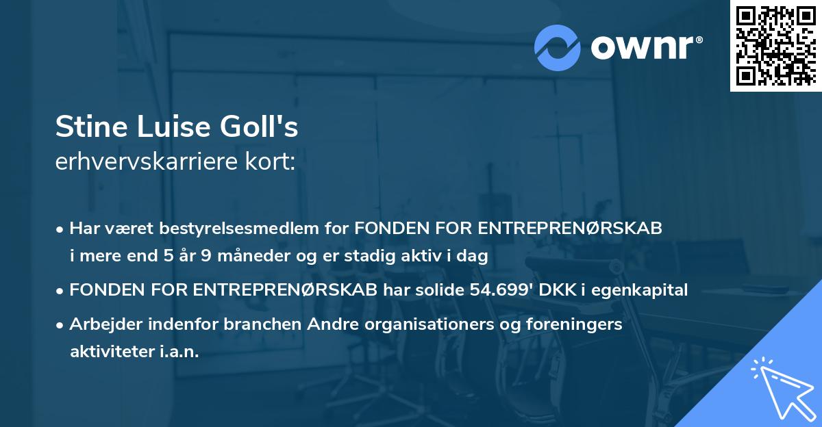 Stine Luise Goll's erhvervskarriere kort