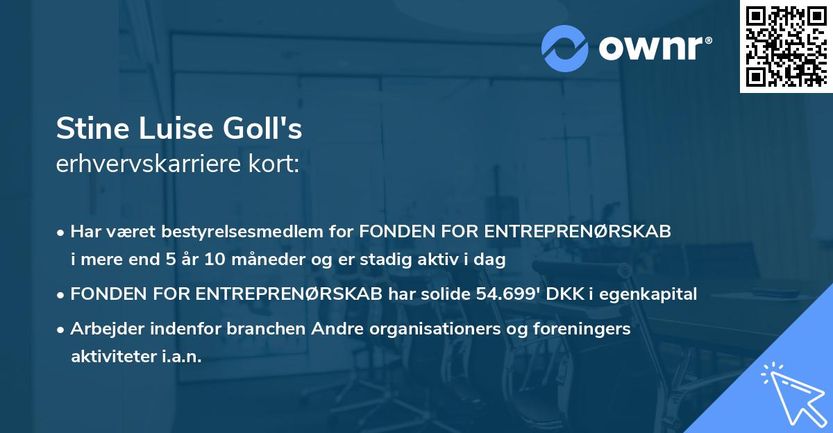 Stine Luise Goll's erhvervskarriere kort