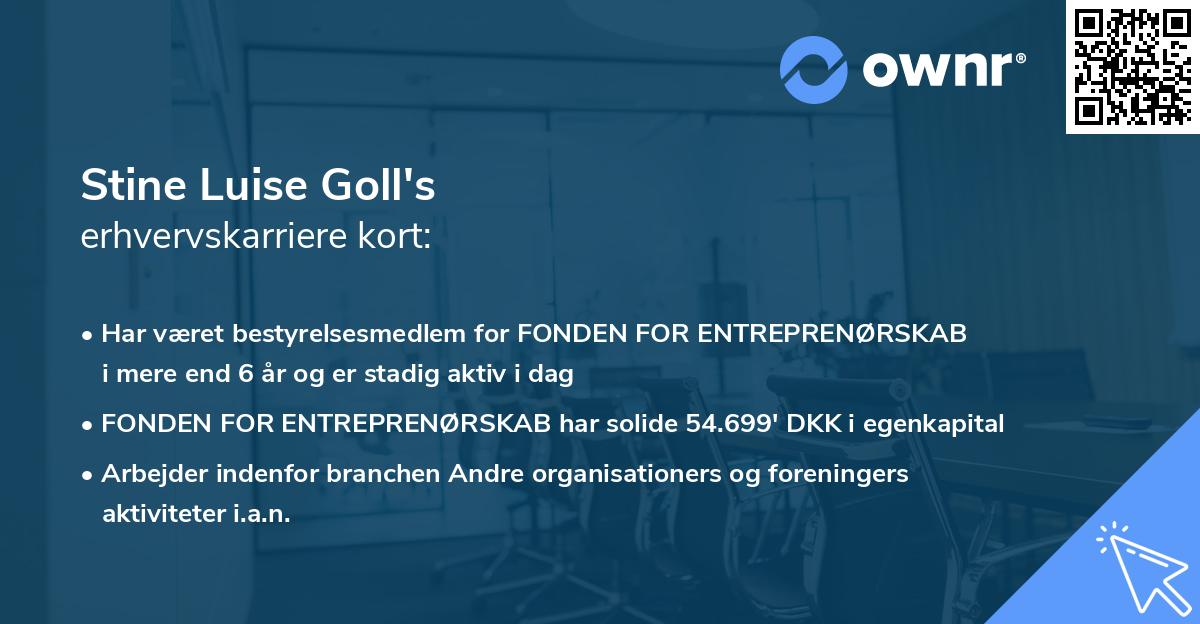 Stine Luise Goll's erhvervskarriere kort