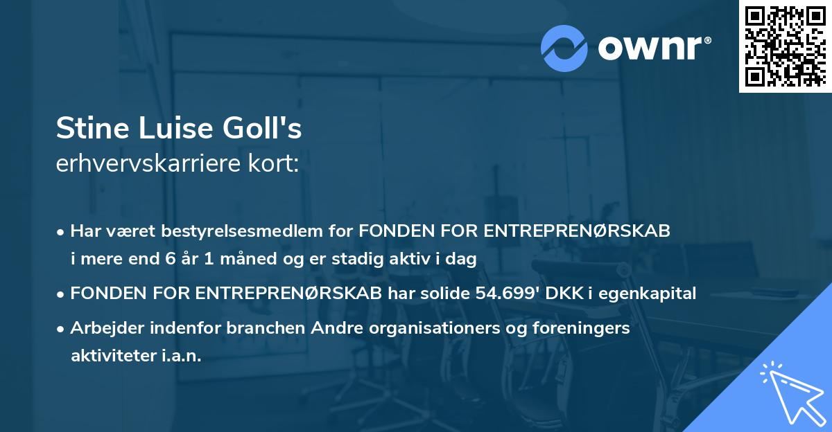 Stine Luise Goll's erhvervskarriere kort