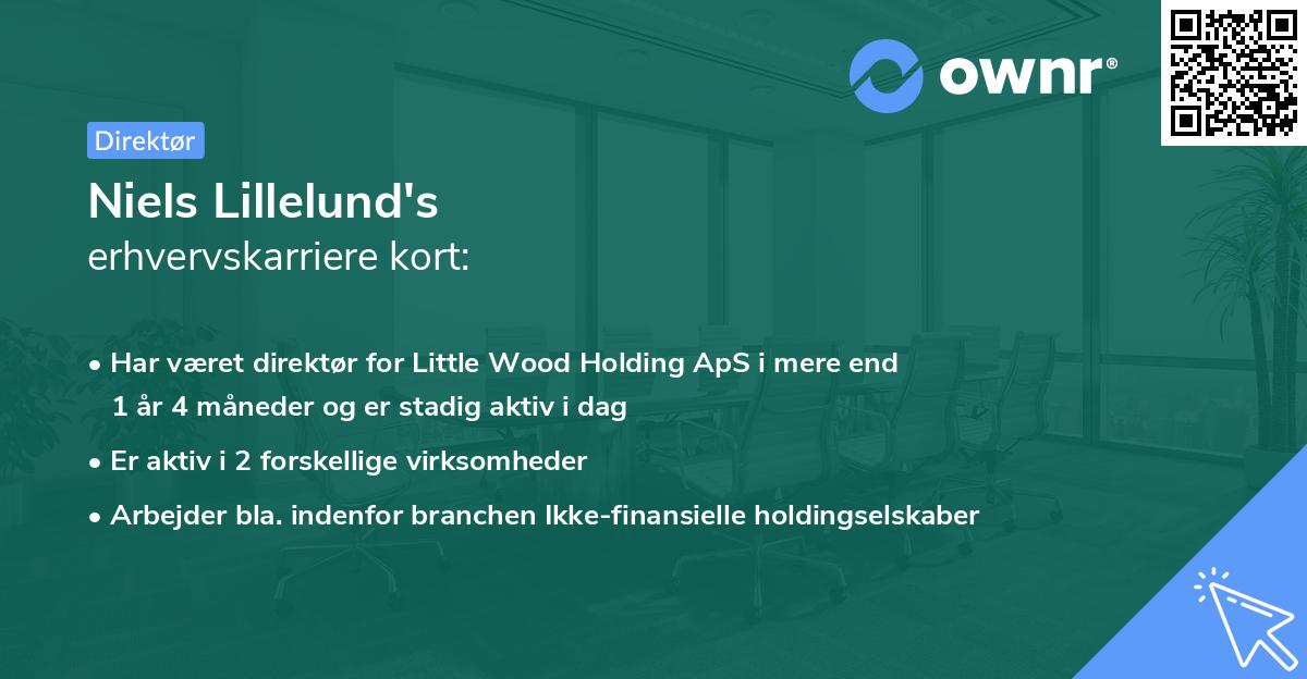 Niels Lillelund's erhvervskarriere kort