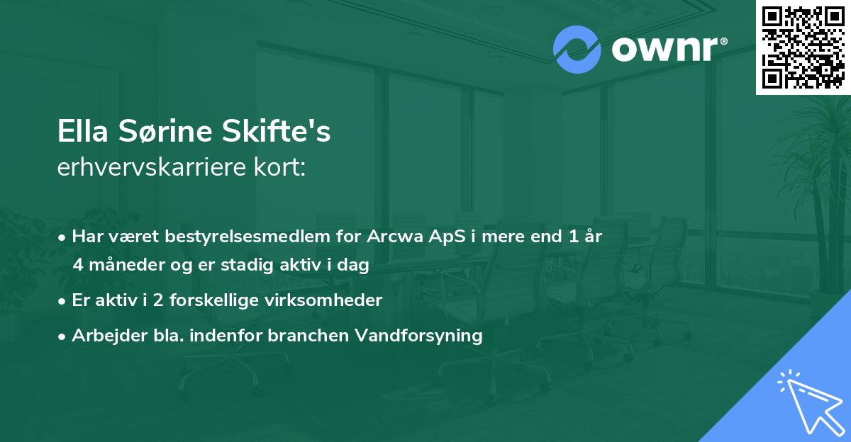Ella Sørine Skifte's erhvervskarriere kort