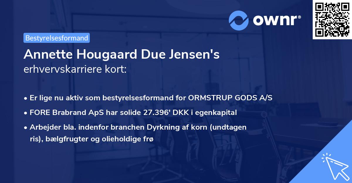 Annette Hougaard Due Jensen's erhvervskarriere kort