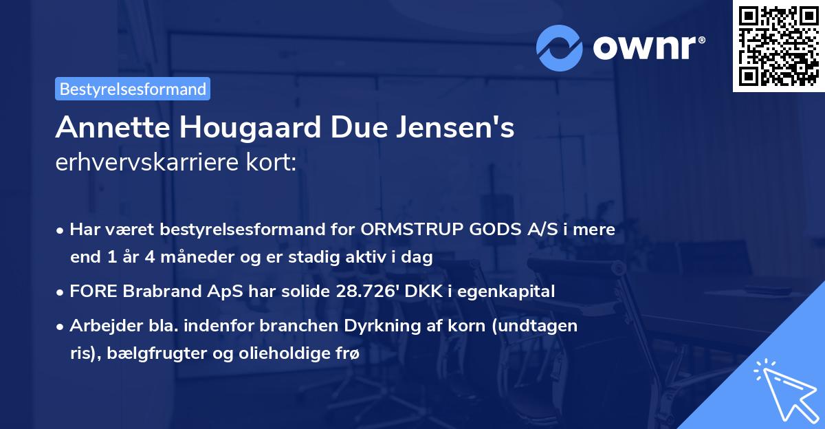 Annette Hougaard Due Jensen's erhvervskarriere kort