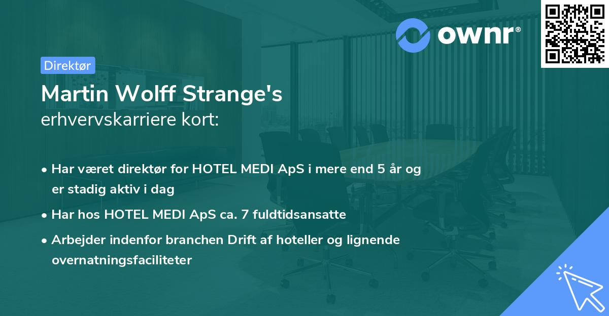 Martin Wolff Strange's erhvervskarriere kort