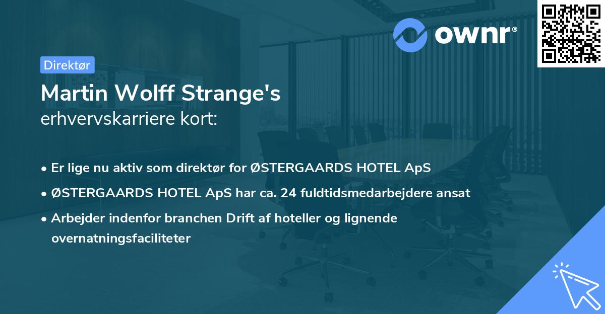Martin Wolff Strange's erhvervskarriere kort