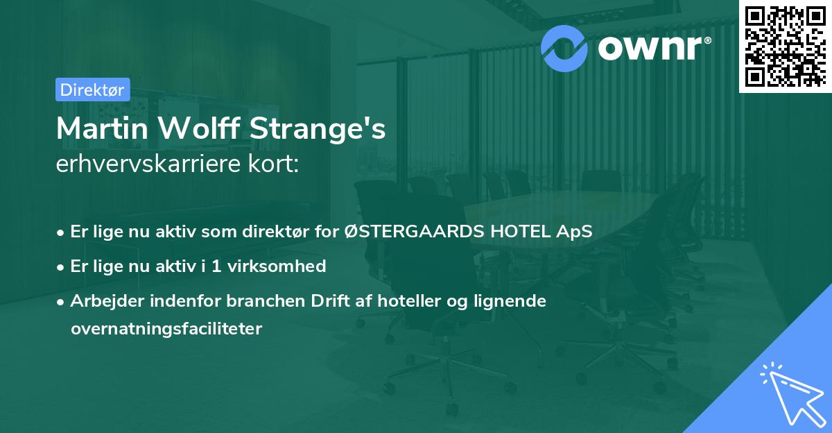 Martin Wolff Strange's erhvervskarriere kort
