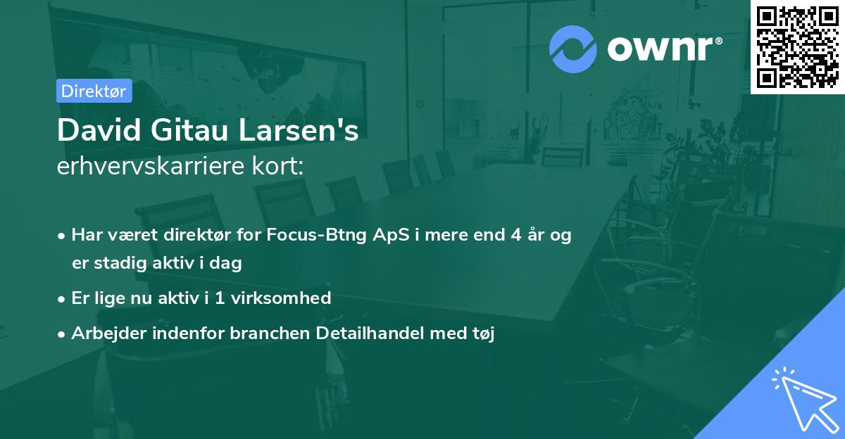 David Gitau Larsen's erhvervskarriere kort