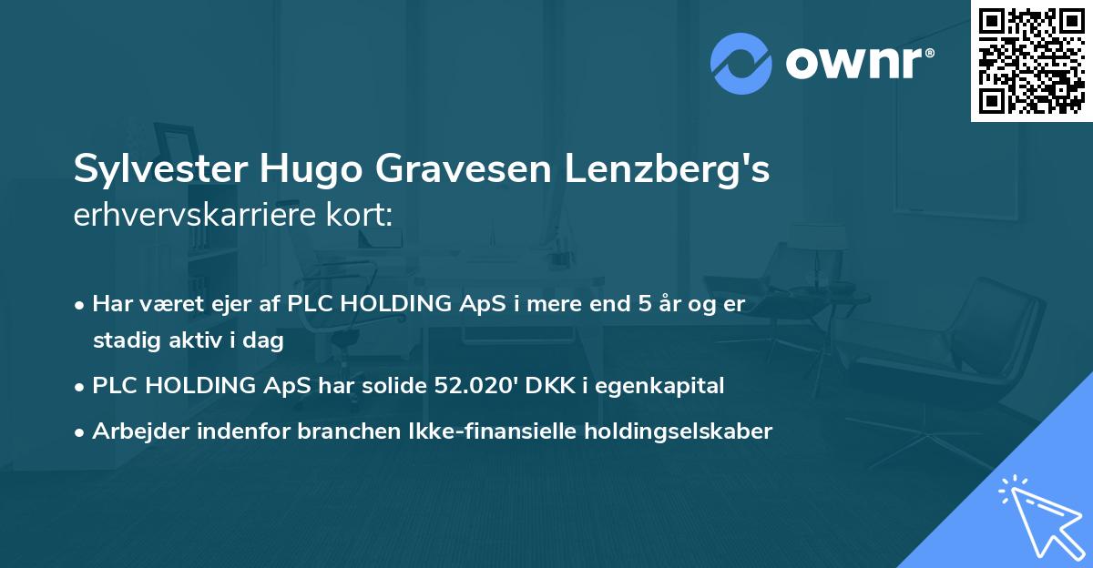 Sylvester Hugo Gravesen Lenzberg's erhvervskarriere kort