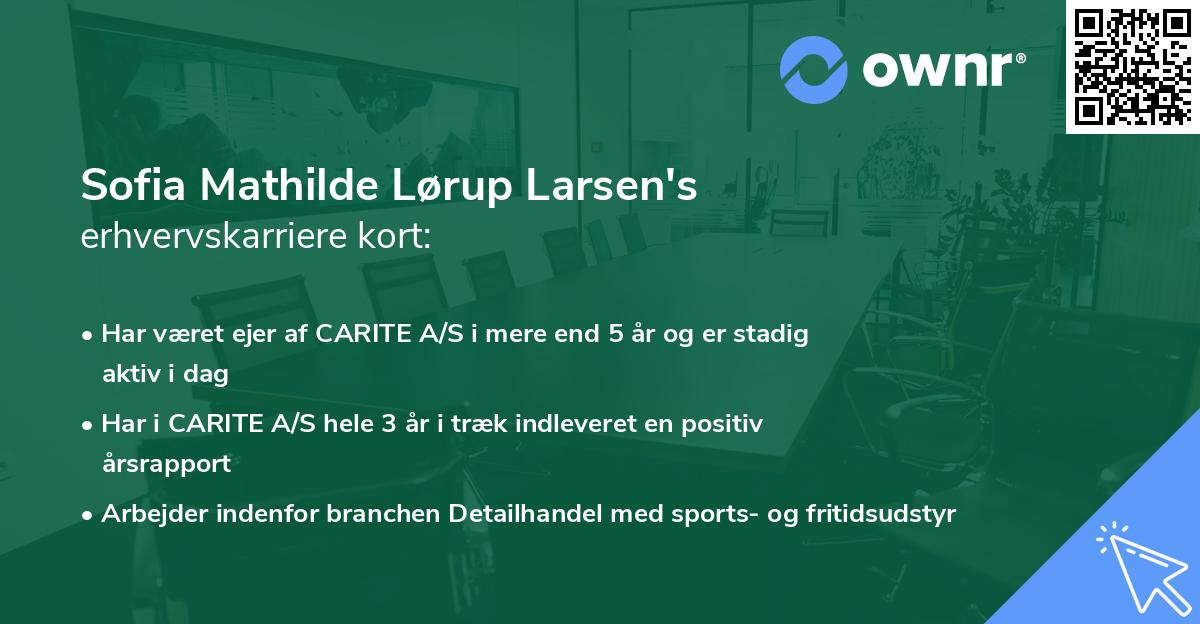 Sofia Mathilde Lørup Larsen's erhvervskarriere kort