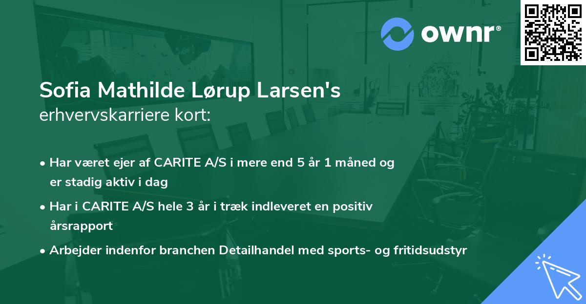 Sofia Mathilde Lørup Larsen's erhvervskarriere kort