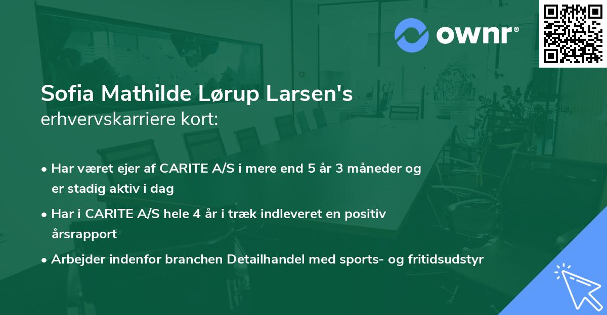 Sofia Mathilde Lørup Larsen's erhvervskarriere kort