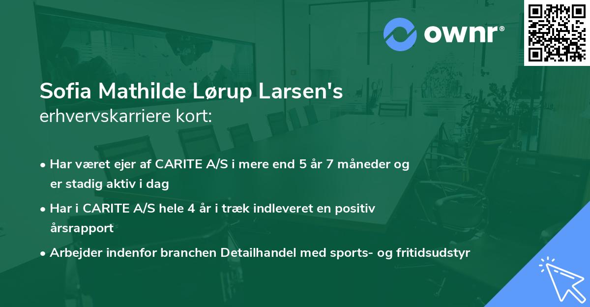 Sofia Mathilde Lørup Larsen's erhvervskarriere kort