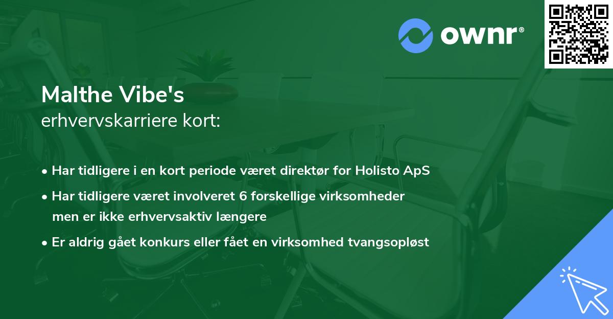 Malthe Vibe's erhvervskarriere kort