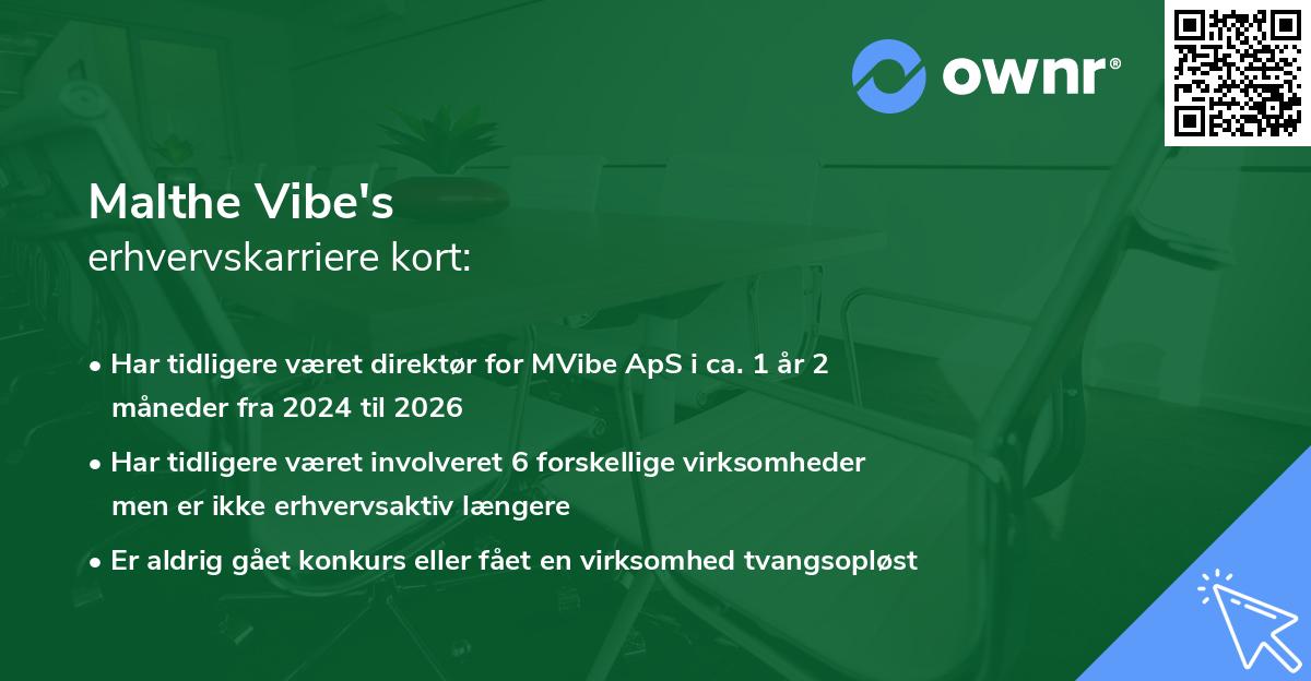 Malthe Vibe's erhvervskarriere kort