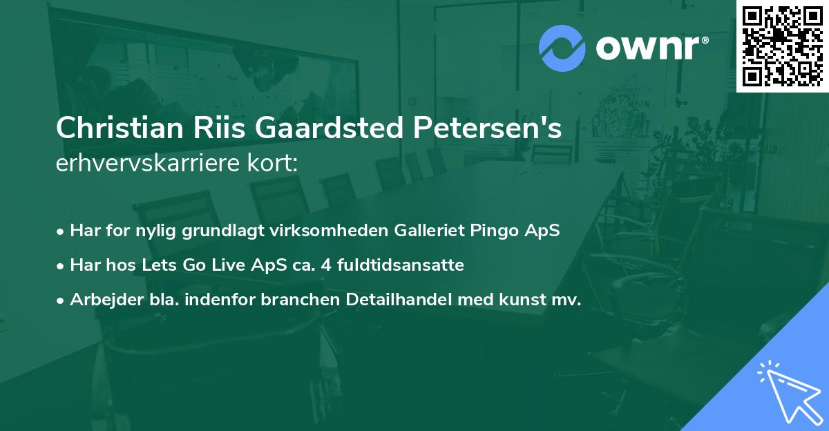 Christian Riis Gaardsted Petersen's erhvervskarriere kort