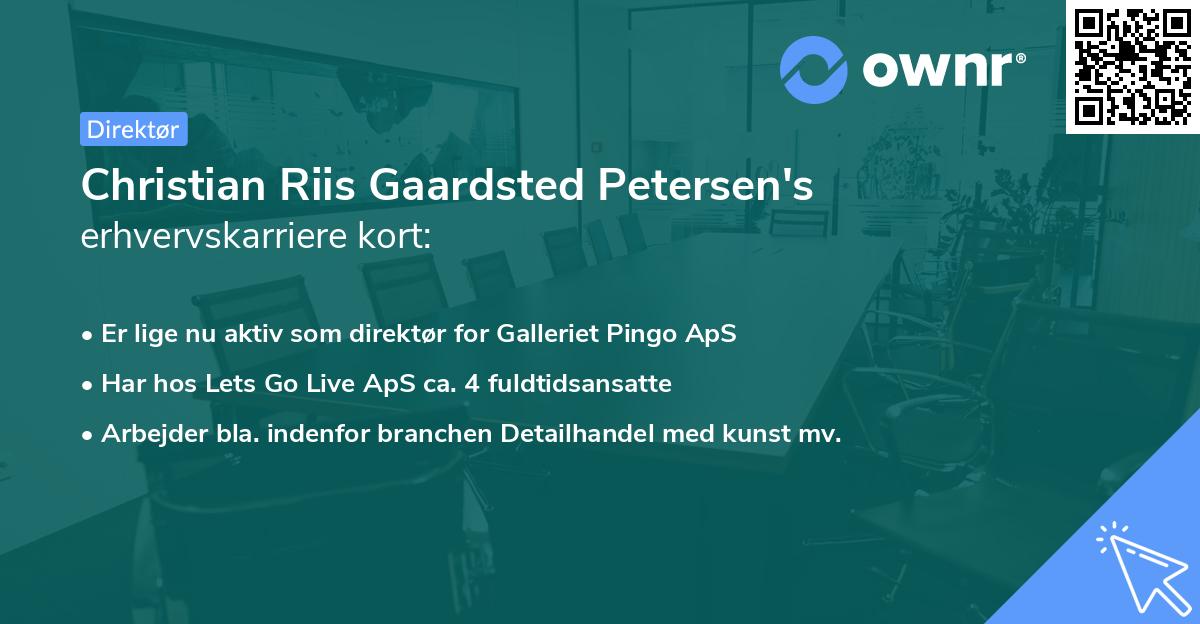 Christian Riis Gaardsted Petersen's erhvervskarriere kort