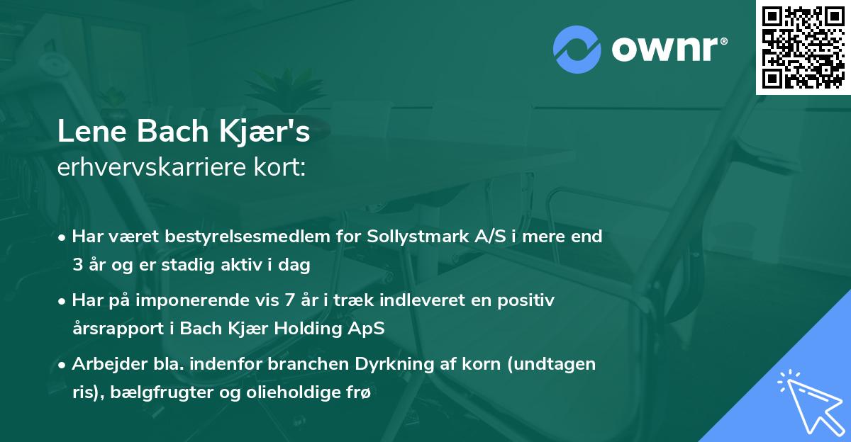 Lene Bach Kjær's erhvervskarriere kort