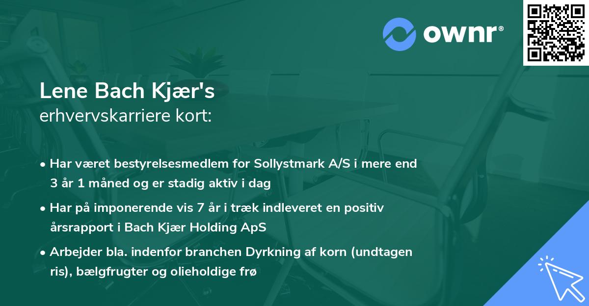 Lene Bach Kjær's erhvervskarriere kort