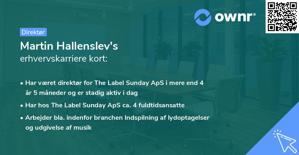 Martin Hallenslev's erhvervskarriere kort