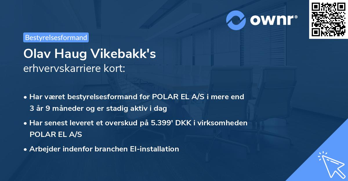 Olav Haug Vikebakk's erhvervskarriere kort