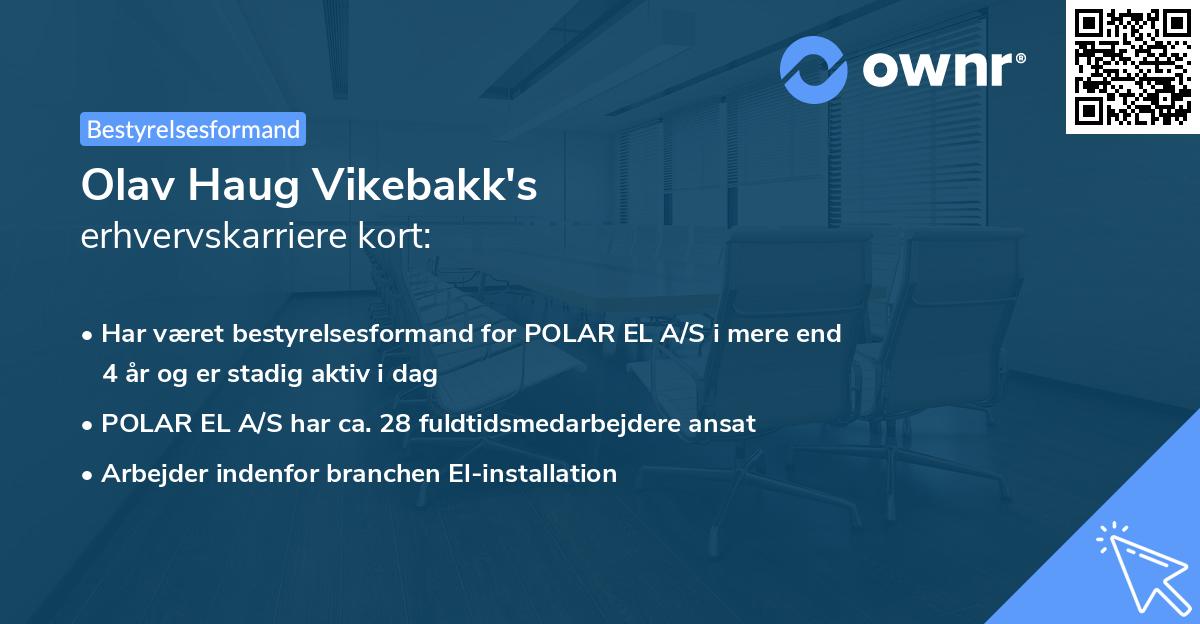Olav Haug Vikebakk's erhvervskarriere kort