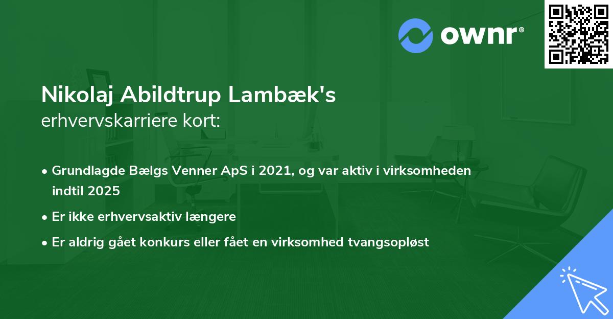 Nikolaj Abildtrup Lambæk's erhvervskarriere kort