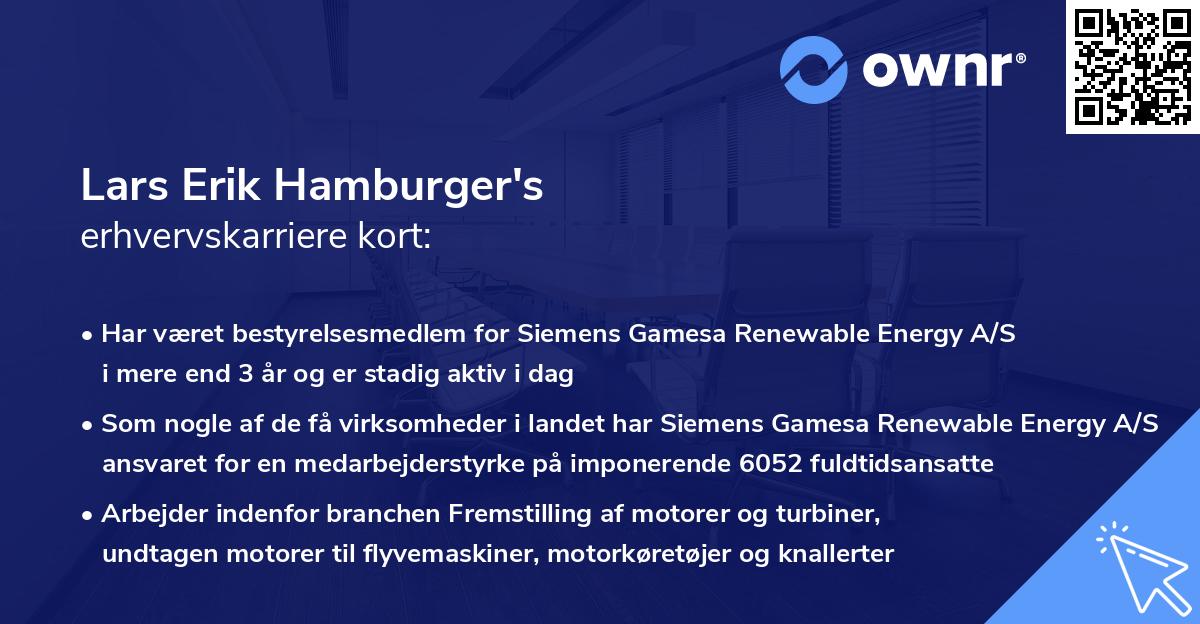 Lars Erik Hamburger's erhvervskarriere kort