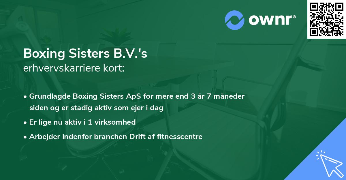 Boxing Sisters B.V.'s erhvervskarriere kort