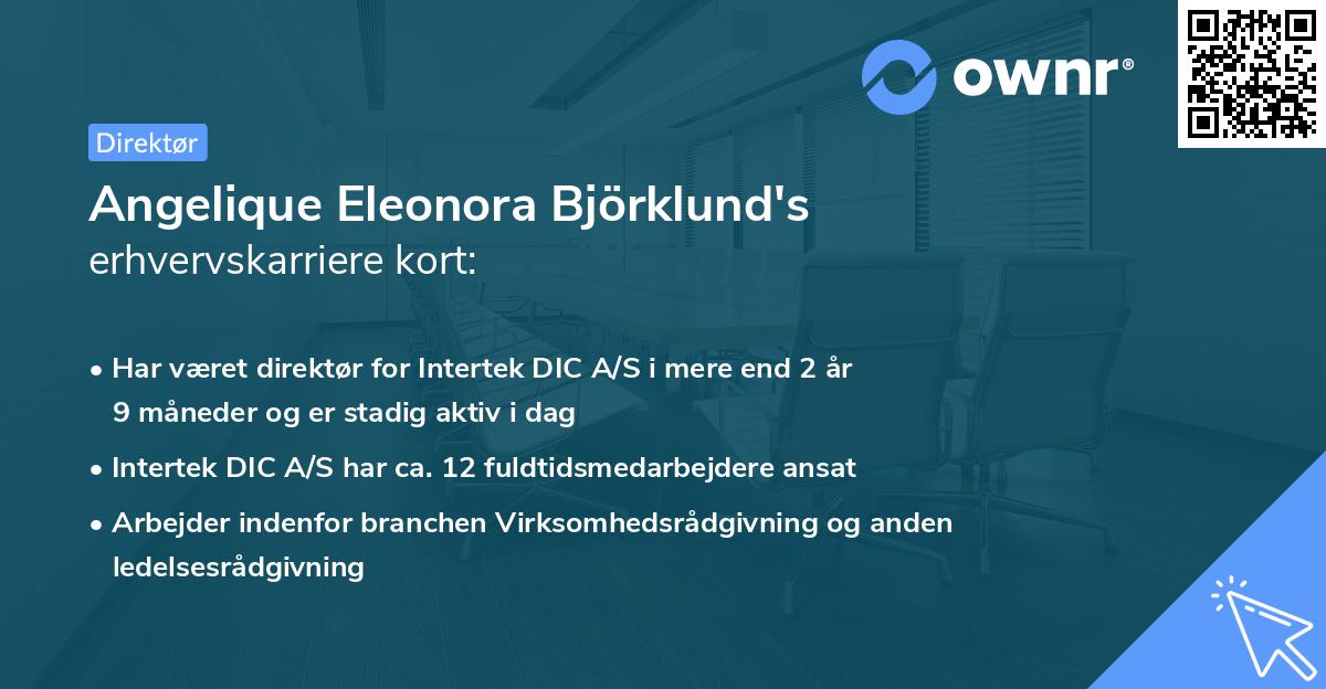 Angelique Eleonora Björklund's erhvervskarriere kort