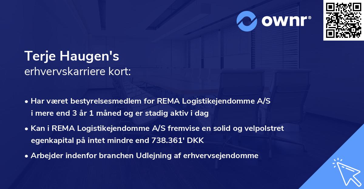 Terje Haugen's erhvervskarriere kort