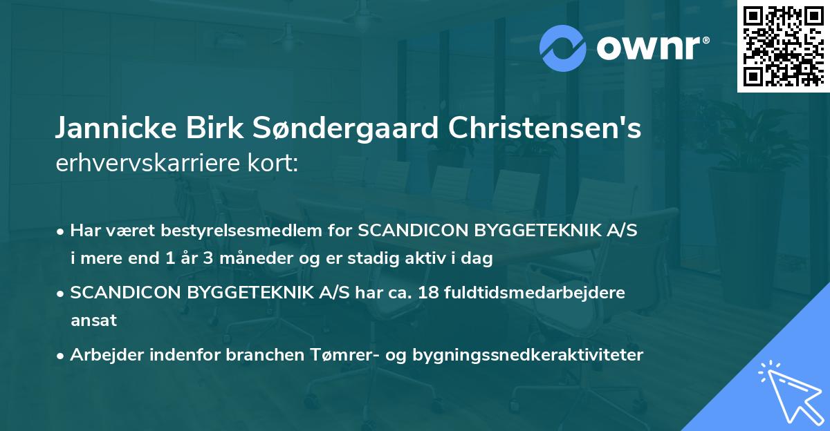 Jannicke Birk Søndergaard Christensen's erhvervskarriere kort