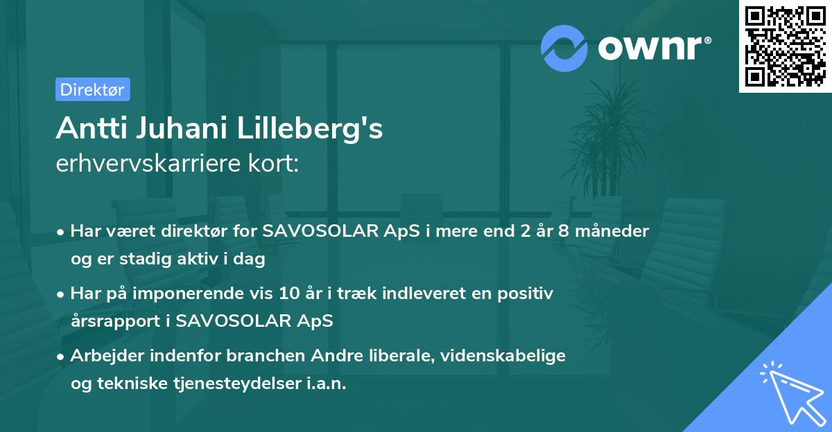 Antti Juhani Lilleberg's erhvervskarriere kort
