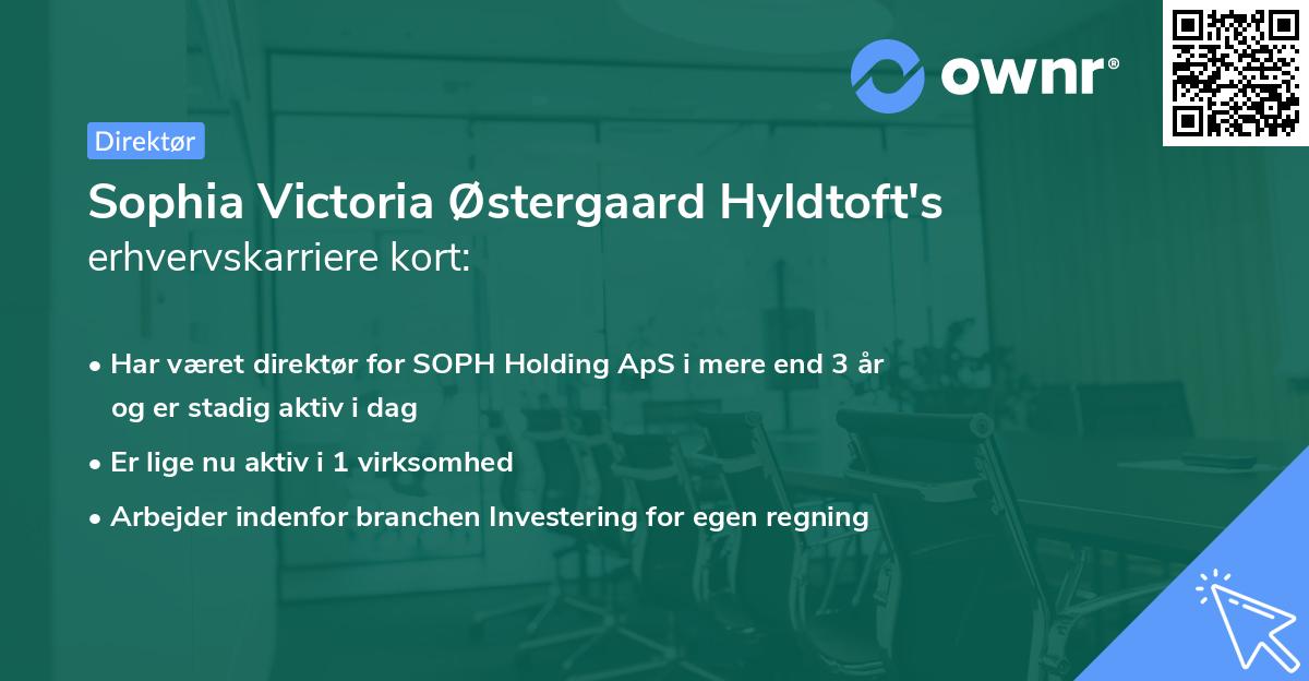 Sophia Victoria Østergaard Hyldtoft's erhvervskarriere kort