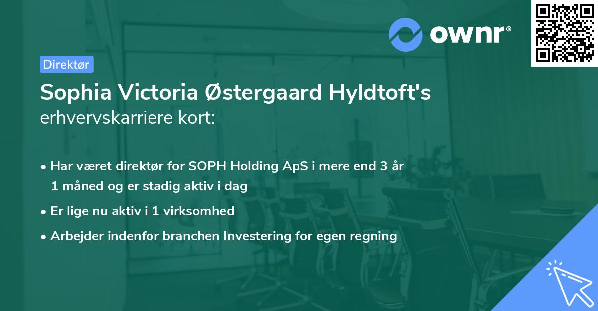 Sophia Victoria Østergaard Hyldtoft's erhvervskarriere kort