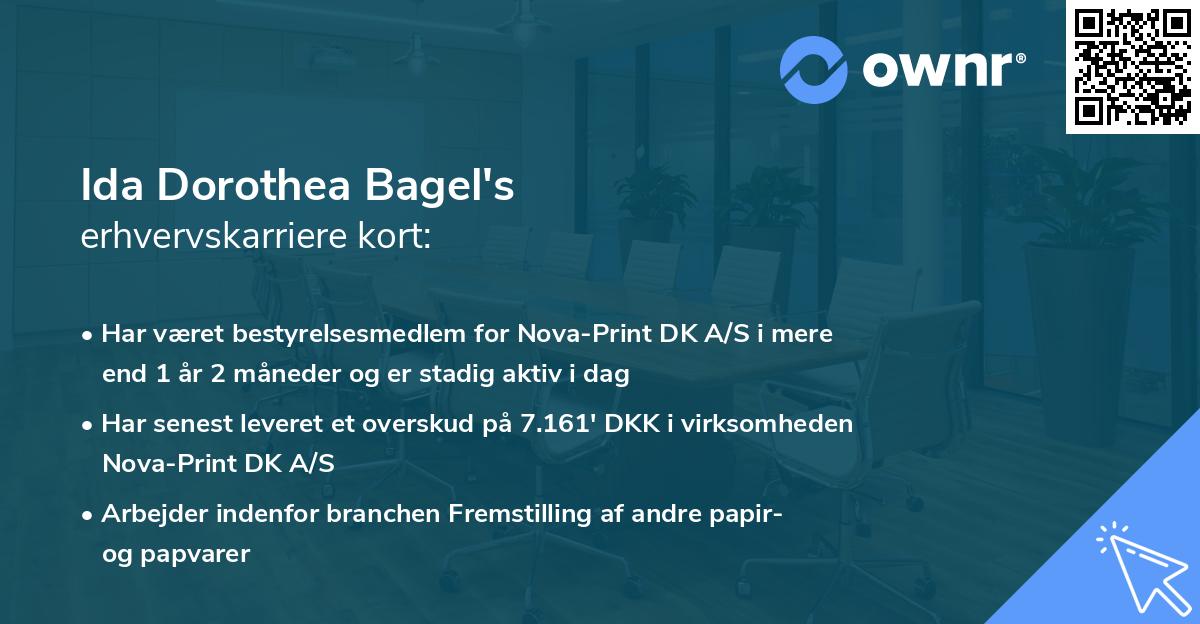 Ida Dorothea Bagel's erhvervskarriere kort