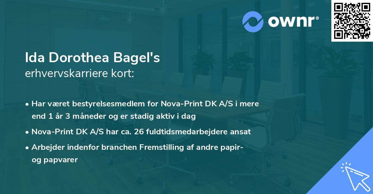 Ida Dorothea Bagel's erhvervskarriere kort