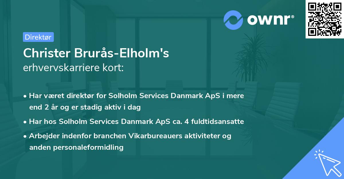 Christer Brurås-Elholm's erhvervskarriere kort