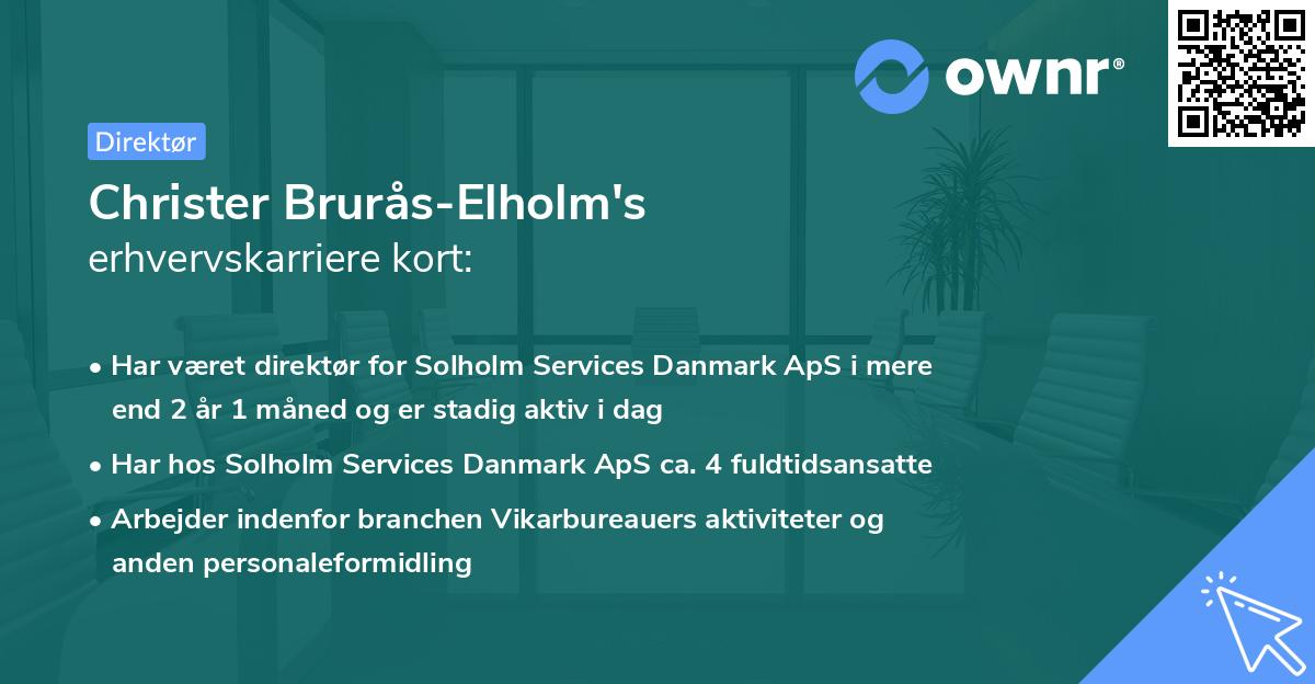 Christer Brurås-Elholm's erhvervskarriere kort