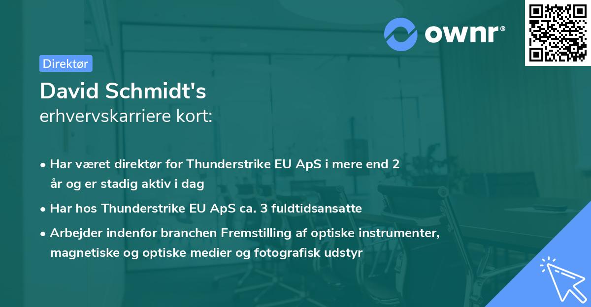 David Schmidt's erhvervskarriere kort