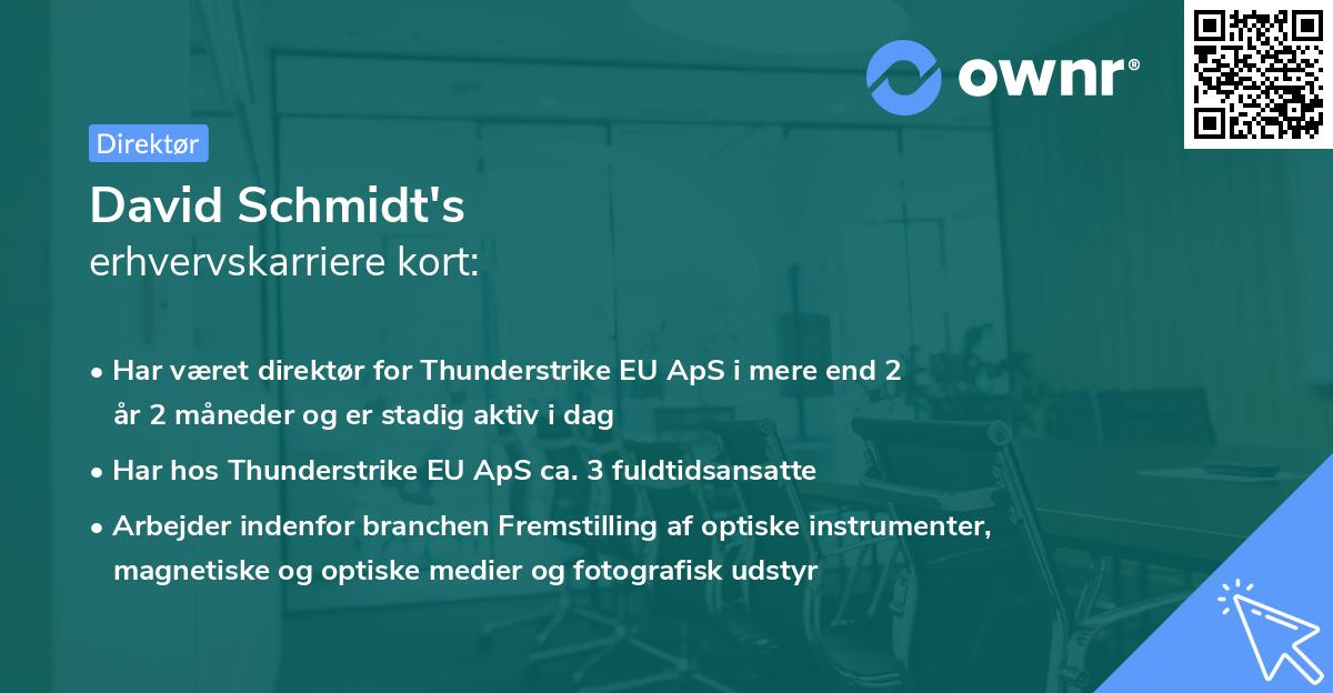 David Schmidt's erhvervskarriere kort