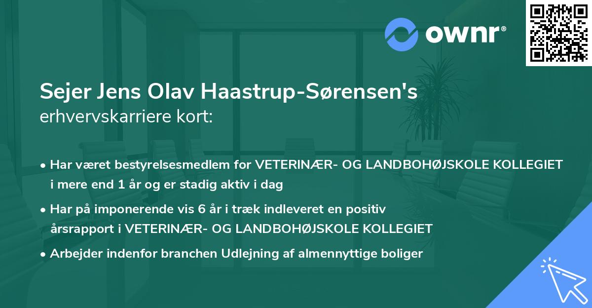 Sejer Jens Olav Haastrup-Sørensen's erhvervskarriere kort